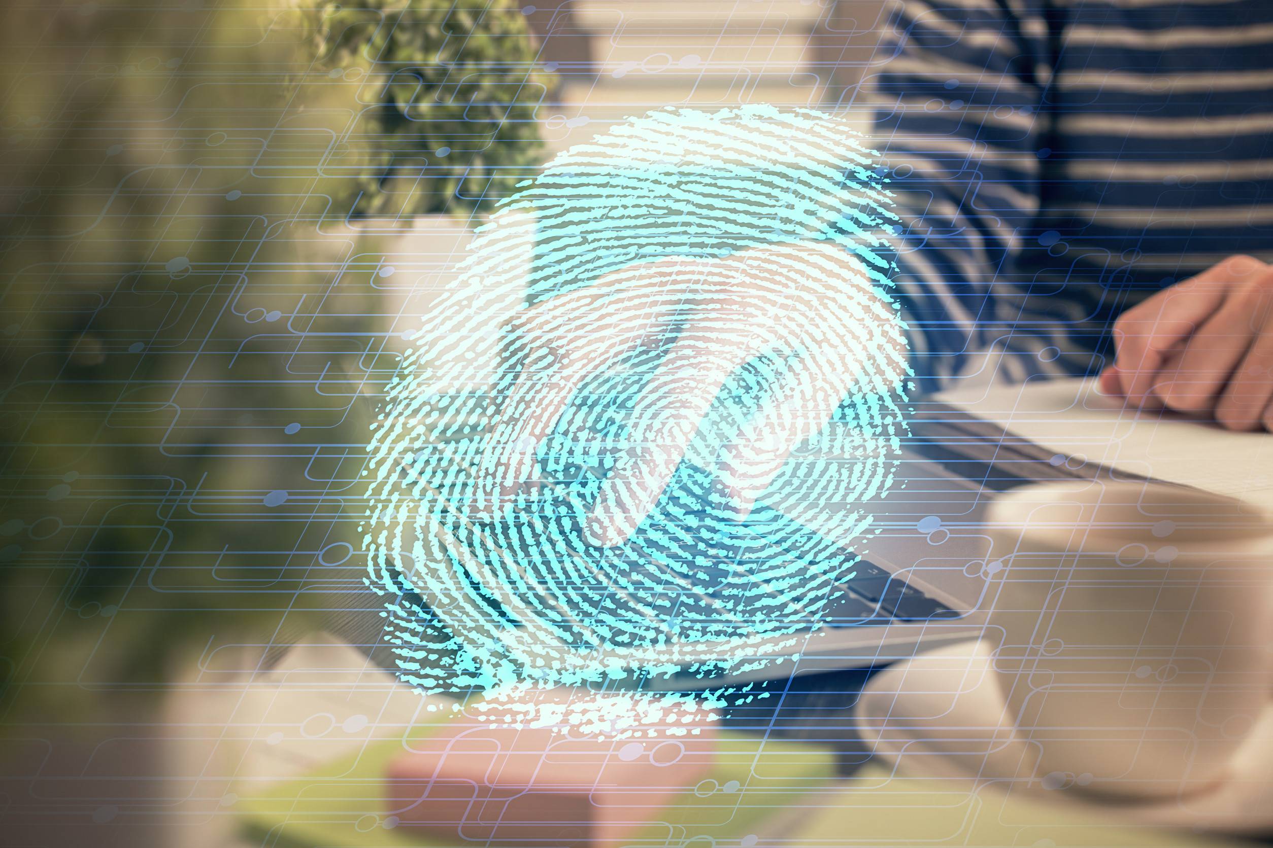Hands Typing On Computer And Fingerprint Drawing Security